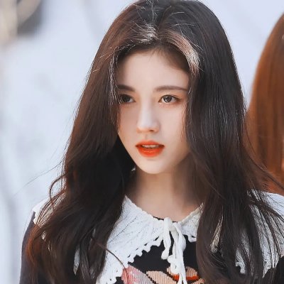 监狱犬计划
